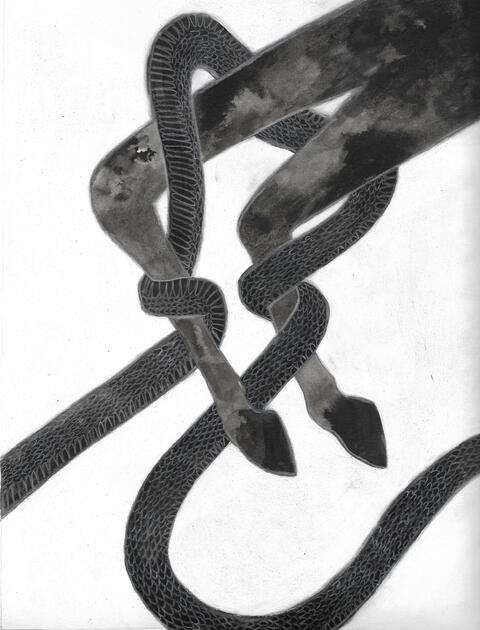 Horse Pain, 2020, ink &amp; pencil